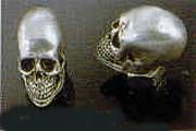 ds190346 skull nut